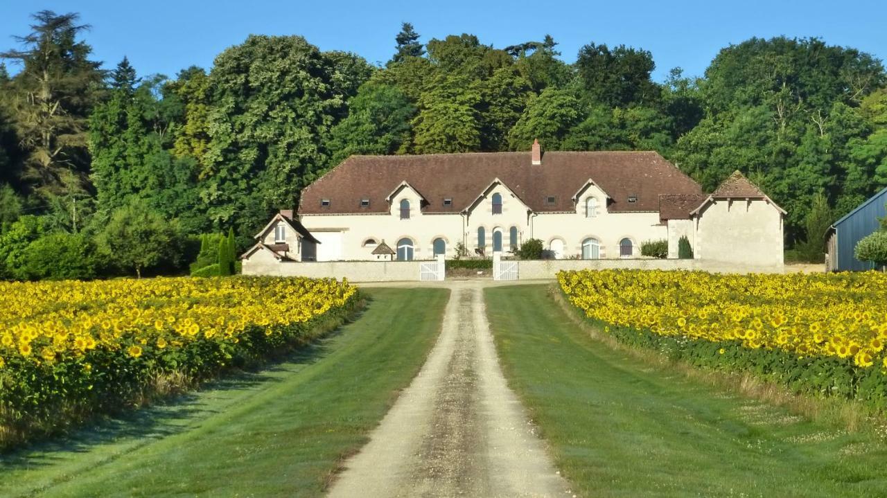 Domaine De La Maison Neuve Saint-Jean-Saint-Germain Exterior foto